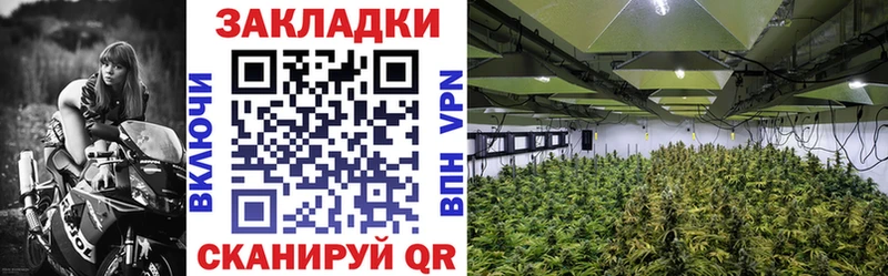 Купить закладку Сыктывкар MEGA tor  КОКАИН  Alpha-PVP  Меф мяу мяу  Гашиш 