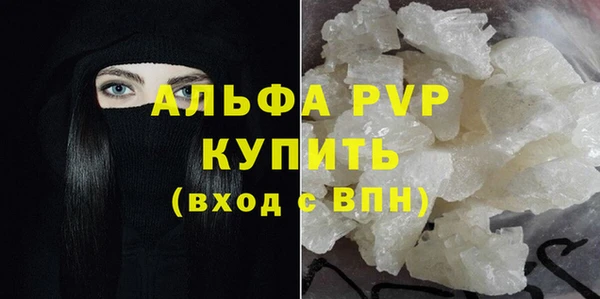 шишки Заволжье
