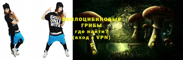 дживик Заводоуковск