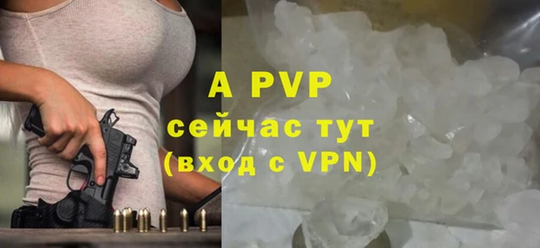 шишки Заволжье