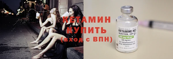 шишки Заволжье