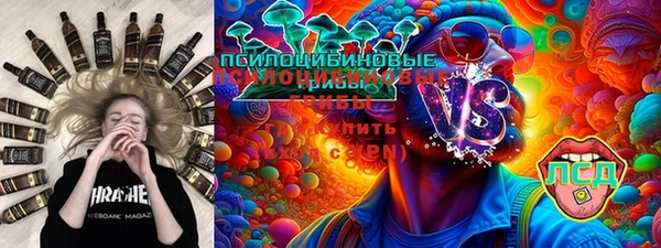 дживик Заводоуковск