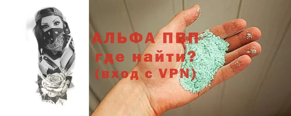 шишки Заволжье
