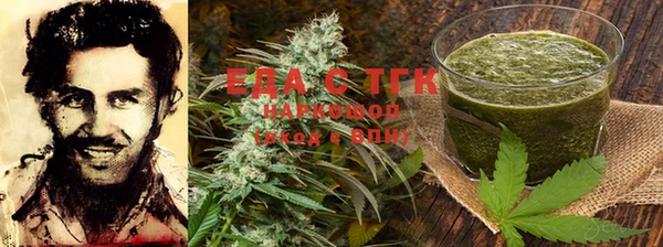 шишки Заволжье