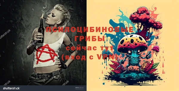 шишки Заволжье