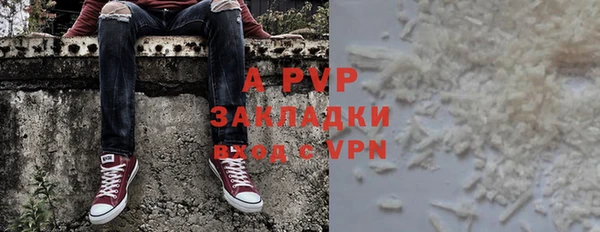 шишки Заволжье