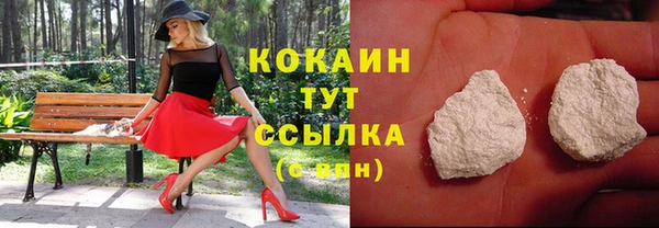 дживик Заводоуковск