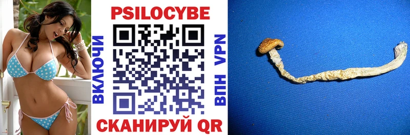 Галлюциногенные грибы Cubensis наркошоп Сыктывкар